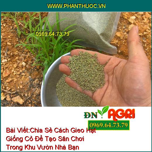 Chia Sẻ Cách Gieo Hạt Giống Cỏ Để Tạo Sân Chơi Trong Khu Vườn Nhà Bạn