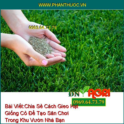 Chia Sẻ Cách Gieo Hạt Giống Cỏ Để Tạo Sân Chơi Trong Khu Vườn Nhà Bạn