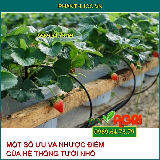 MỘT SỐ ƯU VÀ NHƯỢC ĐIỂM CỦA HỆ THỐNG TƯỚI NHỎ GIỌT