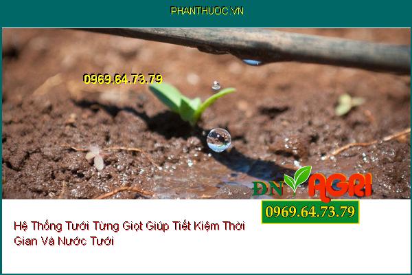 Hệ Thống Tưới Từng Giọt Giúp Tiết Kiệm Thời Gian Và Nước Tưới