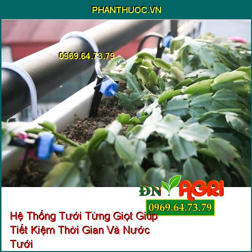 Hệ Thống Tưới Từng Giọt Giúp Tiết Kiệm Thời Gian Và Nước Tưới