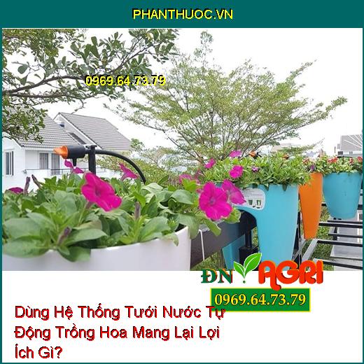 Dùng Hệ Thống Tưới Nước Tự Động Trồng Hoa Mang Lại Lợi Ích Gì?