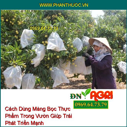 Cách Dùng Màng Bọc Thực Phẩm Trong Vườn Giúp Trái Phát Triển Mạnh 