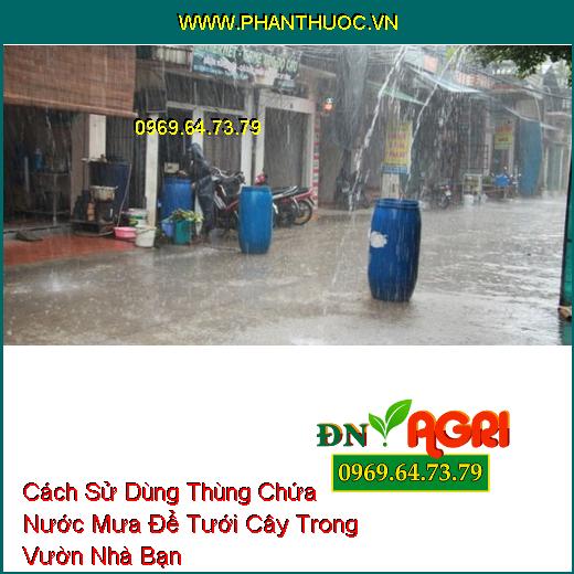 Cách Sử Dùng Thùng Chứa Nước Mưa Để Tưới Cây Trong Vườn Nhà Bạn