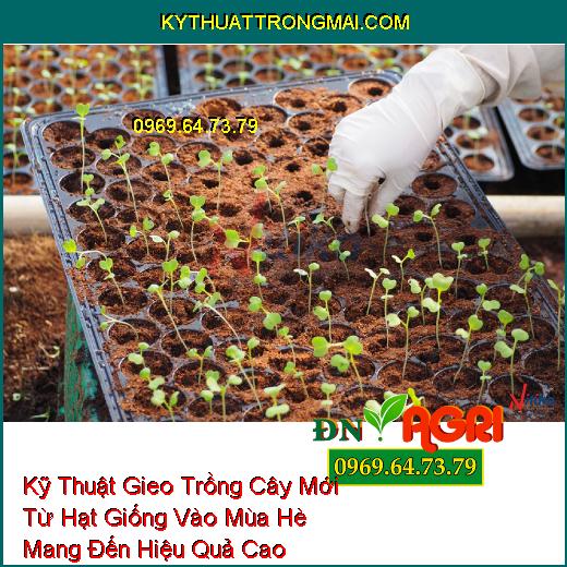 Kỹ Thuật Gieo Trồng Cây Mới Từ Hạt Giống Vào Mùa Hè Mang Đến Hiệu Quả Cao