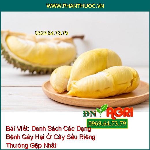 Bệnh nấm hồng do nấm gây nên ở sầu riêng