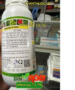 HITOCO 25 AMINO Hữu Cơ- Ngăn Rụng Trái -Lớn Trái- Màu Trái Đẹp- Tăng Hương Vị