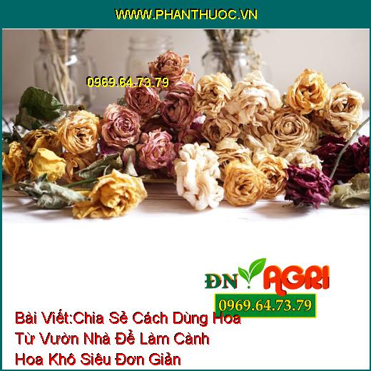 Chia Sẻ Cách Dùng Hoa Từ Vườn Nhà Để Làm Cành Hoa Khô Siêu Đơn Giản