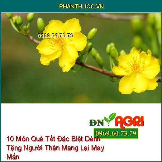 10 Món Quà Tết Đặc Biệt Dành Tặng Người Thân Mang Lại May Mắn