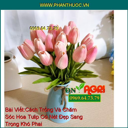 WWW.PhanThuoc.VN