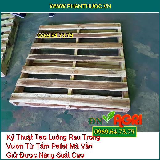 Kỹ Thuật Tạo Luống Rau Trong Vườn Từ Tấm Pallet Mà Vẫn Giữ Được Năng Suất Cao