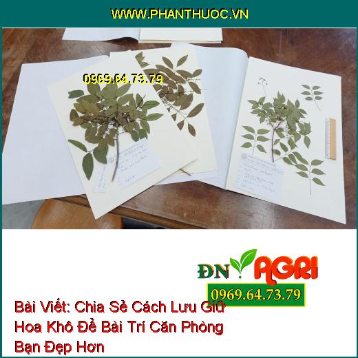 Chia Sẻ Cách Lưu Giữ Hoa Khô Để Bài Trí Căn Phòng Bạn Đẹp Hơn