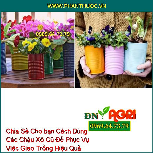 Chia Sẻ Cho bạn Cách Dùng Các Chậu Xô Cũ Để Phục Vụ Việc Gieo Trồng Hiệu Quả