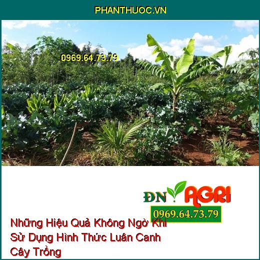 Những Hiệu Quả Không Ngờ Khi Sử Dụng Hình Thức Luân Canh Cây Trồng