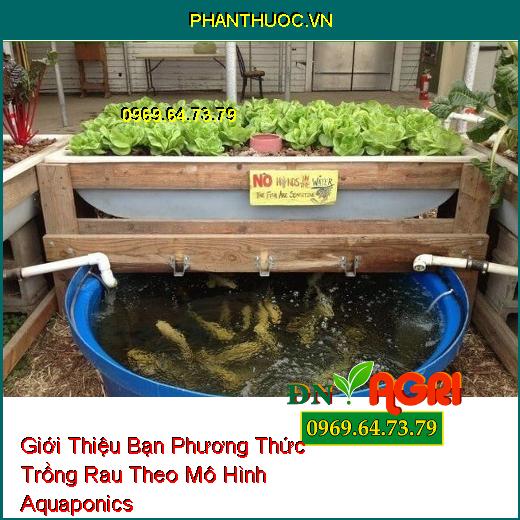 Giới Thiệu Bạn Phương Thức Trồng Rau Theo Mô Hình Aquaponics