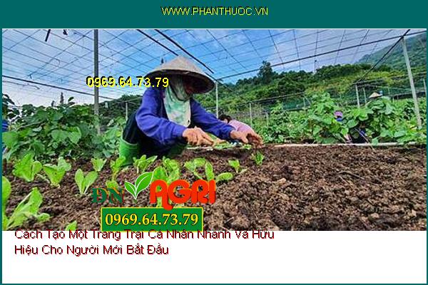 Cách Tạo Một Trang Trại Cá Nhân Nhanh Và Hữu Hiệu Cho Người Mới Bắt Đầu