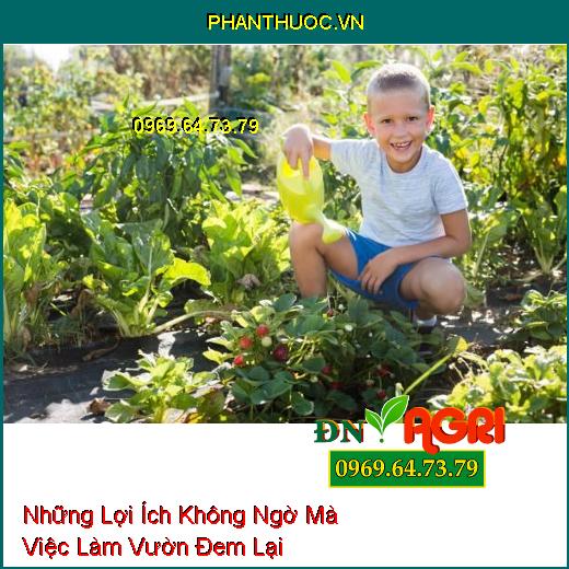 Những Lợi Ích Không Ngờ Mà Việc Làm Vườn Đem Lại 