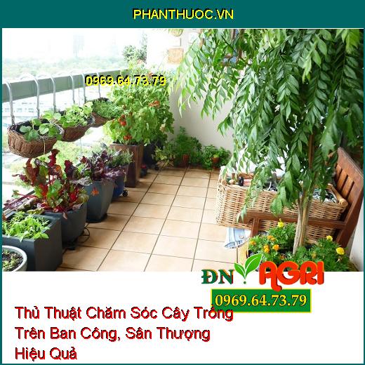 Thủ Thuật Chăm Sóc Cây Trồng Trên Ban Công, Sân Thượng Hiệu Quả