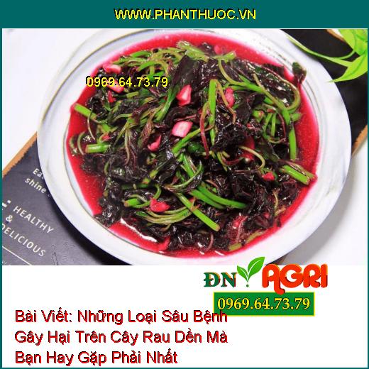 Những Loại Sâu Bệnh Gây Hại Trên Cây Rau Dền Mà Bạn Hay Gặp Phải Nhất