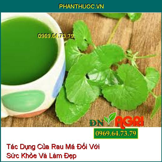 Tác Dụng Của Rau Má Đối Với Sức Khỏe Và Làm Đẹp