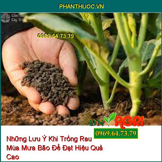 Những Lưu Ý Khi Trồng Rau Mùa Mưa Bão Để Đạt Hiệu Quả Cao