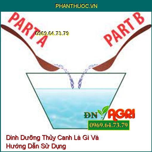 Dinh Dưỡng Thủy Canh Là Gì Và Hướng Dẫn Sử Dụng