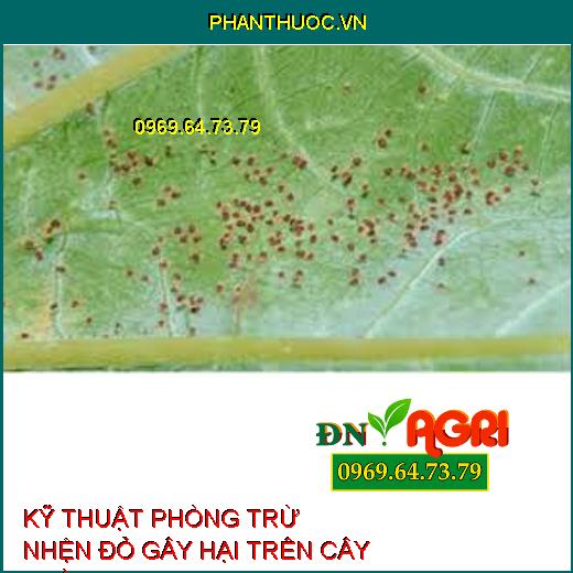 KỸ THUẬT PHÒNG TRỪ NHỆN ĐỎ GÂY HẠI TRÊN CÂY TRỒNG