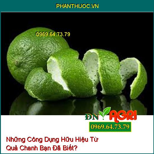 Những Công Dụng Hữu Hiệu Từ Quả Chanh Bạn Đã Biết?