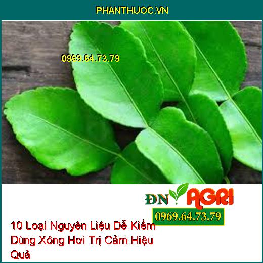 10 Loại Nguyên Liệu Dễ Kiếm Dùng Xông Hơi Trị Cảm Hiệu Quả