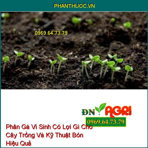 Phân Gà Vi Sinh Có Lợi Gì Cho Cây Trồng Và Kỹ Thuật Bón Hiệu Quả