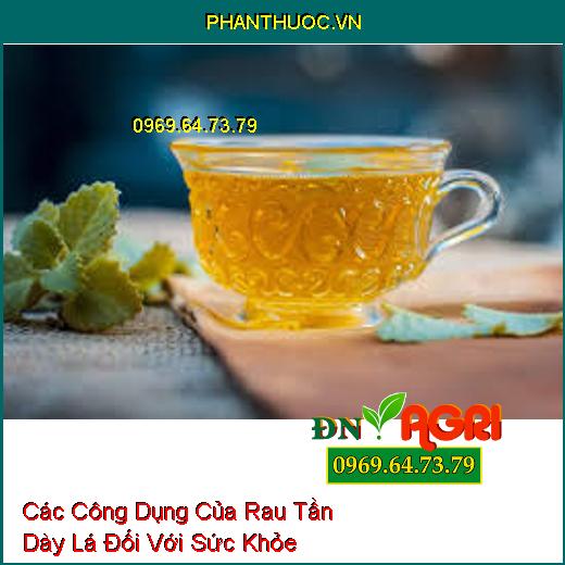 Các Công Dụng Của Rau Tần Dày Lá Đối Với Sức Khỏe