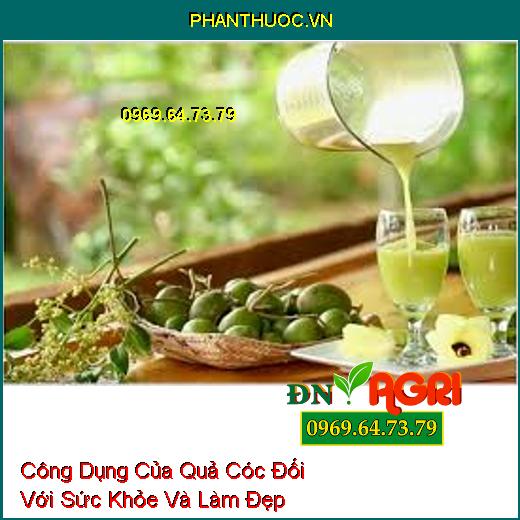 Công Dụng Của Quả Cóc Đối Với Sức Khỏe Và Làm Đẹp