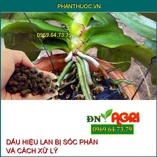 DẤU HIỆU LAN BỊ SỐC PHÂN VÀ CÁCH XỬ LÝ