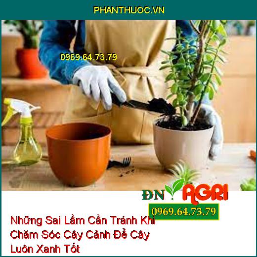 Những Sai Lầm Cần Tránh Khi Chăm Sóc Cây Cảnh Để Cây Luôn Xanh Tốt