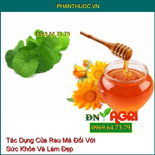 Tác Dụng Của Rau Má Đối Với Sức Khỏe Và Làm Đẹp