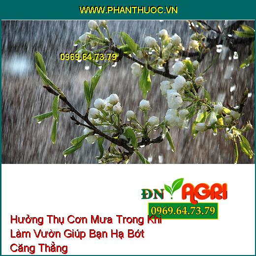 Hưởng Thụ Cơn Mưa Trong Khi Làm Vườn Giúp Bạn Hạ Bớt Căng Thẳng