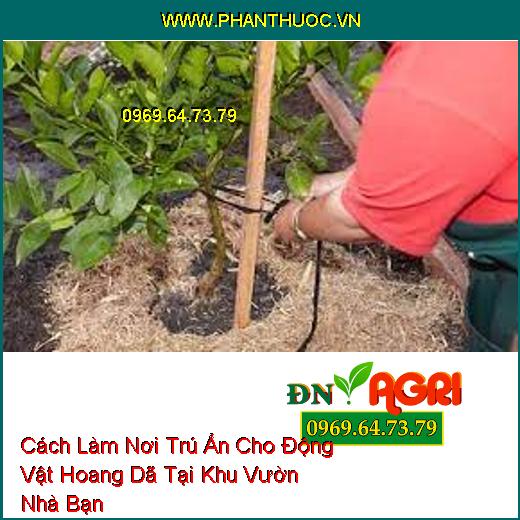 Cách Làm Nơi Trú Ẩn Cho Động Vật Hoang Dã Tại Khu Vườn Nhà Bạn