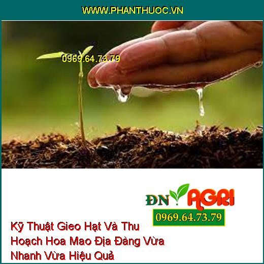 Kỹ Thuật Gieo Hạt Và Thu Hoạch Hoa Mao Địa Đàng Vừa Nhanh Vừa Hiệu Quả