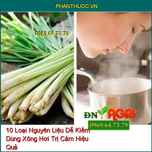 10 Loại Nguyên Liệu Dễ Kiếm Dùng Xông Hơi Trị Cảm Hiệu Quả