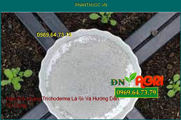 Nấm Đối Kháng Trichoderma Là Gì Và Hướng Dẫn Sử Dụng 