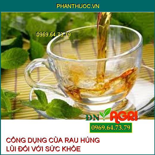 CÔNG DỤNG CỦA RAU HÚNG LỦI ĐỐI VỚI SỨC KHỎE