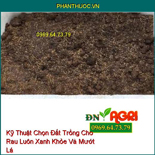 Kỹ Thuật Chọn Đất Trồng Cho Rau Luôn Xanh Khỏe Và Mướt Lá