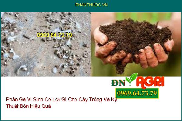 Phân Gà Vi Sinh Có Lợi Gì Cho Cây Trồng Và Kỹ Thuật Bón Hiệu Quả