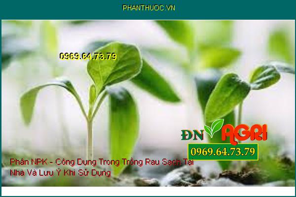 Phân NPK - Công Dụng Trong Trồng Rau Sạch Tại Nhà Và Lưu Ý Khi Sử Dụng