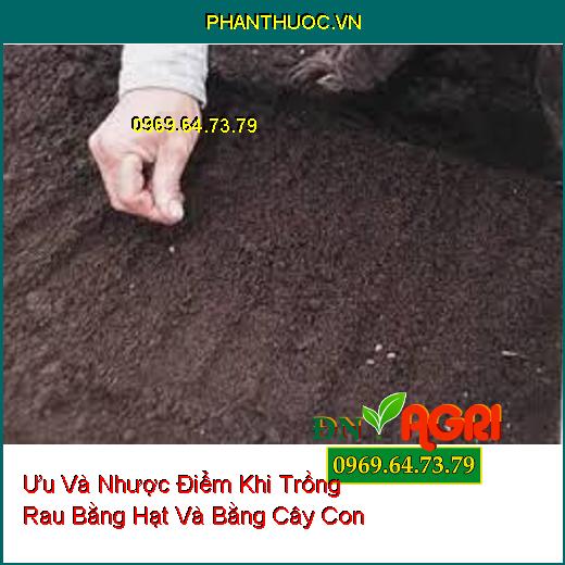 Ưu Và Nhược Điểm Khi Trồng Rau Bằng Hạt Và Bằng Cây Con