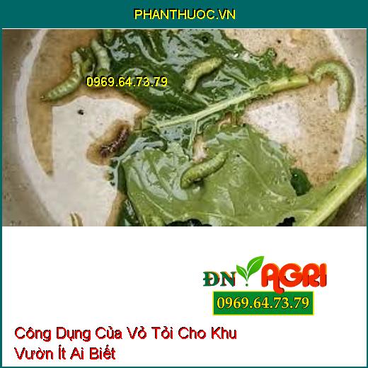 Công Dụng Của Vỏ Tỏi Cho Khu Vườn Ít Ai Biết