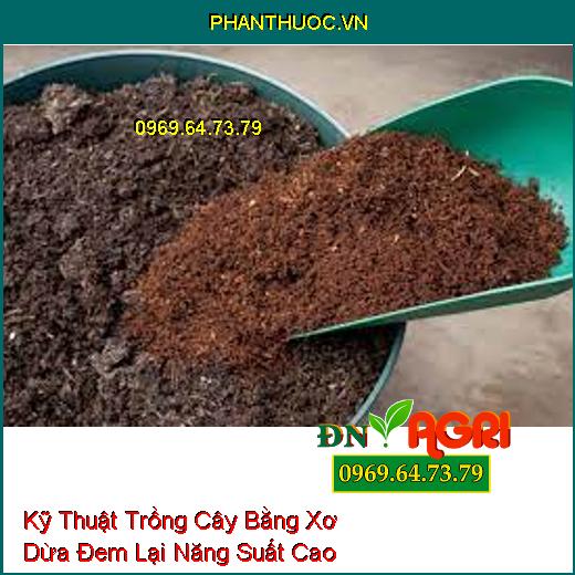 Kỹ Thuật Trồng Cây Bằng Xơ Dừa Đem Lại Năng Suất Cao