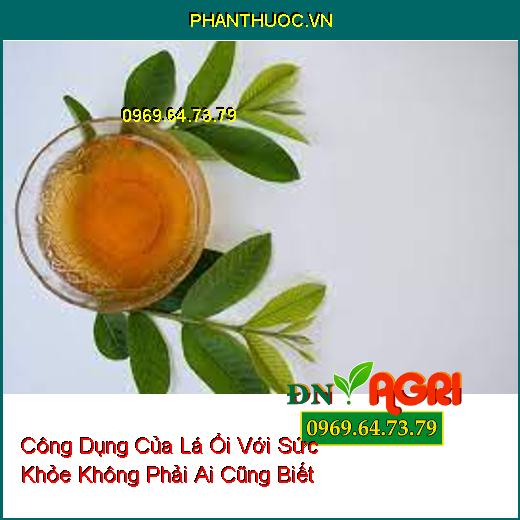 Công Dụng Của Lá Ổi Với Sức Khỏe Không Phải Ai Cũng Biết