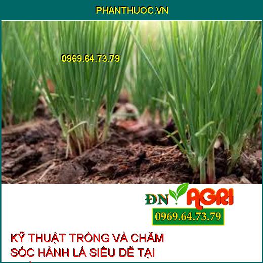 KỸ THUẬT TRỒNG VÀ CHĂM SÓC HÀNH LÁ SIÊU DỄ TẠI NHÀ