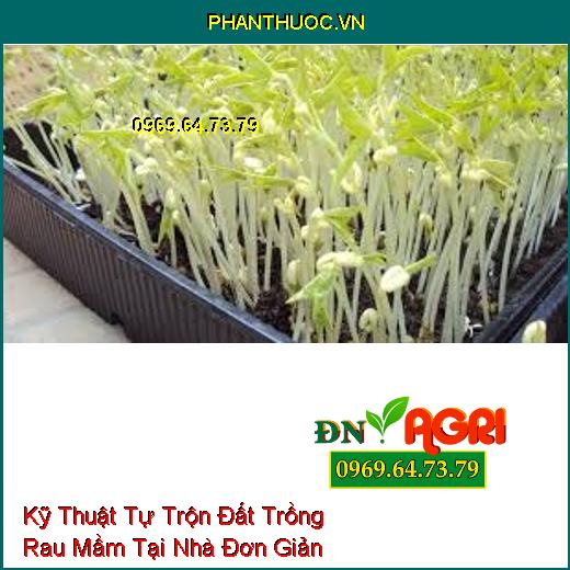 Kỹ Thuật Tự Trộn Đất Trồng Rau Mầm Tại Nhà Đơn Giản